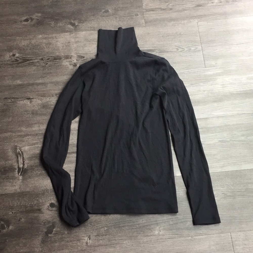 Everlane Pima Micro Rib Turtleneck